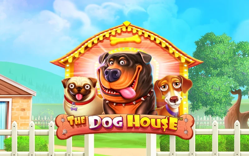 Profitez de l'ambiance joyeuse de 1Win The Dog House.